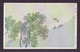 JAPAN WWII Military River Side Picture Postcard Central China KATAMURA Force CHINE WW2 JAPON GIAPPONE - 1943-45 Shanghái & Nankín