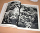 BUCH JUGEND UM HITLER, 96 Seiten, Viele Foto Abbildungen Siehe Bilder, Verlag Heinrich Hofmann Berlin, Umschlag Besc ... - 5. Guerre Mondiali