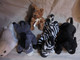 Delcampe - Vintage - 6 Mini Peluches - Âne écureuil Zèbre Panthère Noire Phoque Morse - Peluche