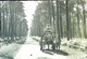 CPSM   Sur Les Routes Landaises   Attelage   Carriage Of Broom - Attelages