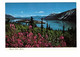 YUKON, Canada, Tagish Lake, Old 4X6 Chrome Postcard - Yukon