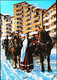 Fiacre     Attelage Cheval  Avoriaz - Attelages