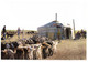 (S 18) Greetings From Mongolia (goats) - Mongolia
