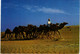 PC CPA U.A.E. , CAMEL CARAVAN, REAL PHOTO POSTCARD (b16408) - Emirati Arabi Uniti