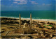 PC CPA U.A.E. , DUBAI, MOSQUE IN JUMAIRA, REAL PHOTO POSTCARD (b16400) - Emirats Arabes Unis