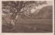 1938. ISLAND. 20 Aur GEYSIR On Ship Mail Post Card (Torsmörk) To London Cancelled Paq... () - JF366955 - Storia Postale