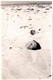 Amusante Photo Originale Portrait De Playboy Enterrer à La Plage De Hiddensee Île En Allemagne 1944 - Seule La Tête Sort - Anonyme Personen