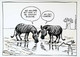 CPM  Zèbre  Illustration Michel Kichka  Dessin Pour La Paix Musée Peynet 2008 - Zebras