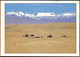 °°° GF974 - MAROC - CARAVANE DANS LE MOYEN ATLAS - 1998 With Stamps °°° - Sonstige & Ohne Zuordnung