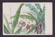 JAPAN WWII Military Washing Japanese Soldier Picture Postcard South China 51th Division CHINE WW2 JAPON GIAPPONE - 1943-45 Shanghái & Nankín