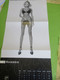 Delcampe - Calendrier Mural De Luxe Grand Format à Déplier/ MAX / Adriana SKLENARIKOVA ( Karembeu)/ Antoine VERGLAS/1999     CAL472 - Tamaño Grande : 1991-00
