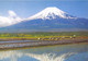 JAPON- LES CHAMPS DE RIZ A COTE DU MONT FUJI- MONTFUJIの近くの田んぼ-RICE PLANTING AND MT. FUJI- - Other & Unclassified