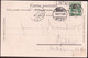 1901 - Linthal - Bad Stachelberg - Katre Mit Wertziffermarke Und Balkenstempel LINTHAL - Linthal