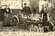 BELGIQUE - Carte Postale - Laitières - Voiture à Chien -  L 74190 - Old Professions