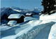 Bei Riederalp, Wallis - Weg Golmenegg-Bettmeralp (44899) * 22. 2. 1982 - Riederalp