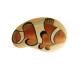 Original Painting Of A Clown Fish Hand Painted On A Smooth Beach Stone Paperweight - Paper-weights