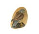 KESTREL BIRD Hand Painted On A Smooth Beach Stone Paperweight Decoration - Paper-weights