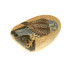 KESTREL BIRD Hand Painted On A Smooth Beach Stone Paperweight Decoration - Paper-weights