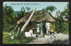 CPA Saint-Thomas Native Hut St Thomas W.I, USA - Virgin Islands, US