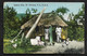 CPA Saint-Thomas Native Hut St Thomas W.I, USA - Amerikaanse Maagdeneilanden