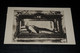 18895-        LISIEUX,  SAINTE THERESE DE L'ENFANT JESUS DANS SA  CHASSE - Lisieux