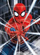 NEW Educa Jigsaw Puzzle 500 Pc Tiles Pieces "Spiderman" - Rompecabezas
