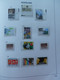 Delcampe - Netherlands 1969-1989: Nearly Complete MNH Collection In DAVO Luxury Album With Slipcase - Collections (en Albums)