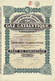 Titre Ancien - Compagnie Belge Du Gaz Catalytique - Société Anonyme - Titre De 1922 - Electricidad & Gas