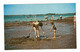 TYNE VALLEY, Prince Edward Island, Canada, Clam Digging At Green Park Camping Site, Old Chrome Postcard - Autres & Non Classés