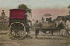 Real Photo Hand Colored  Transportation A Provincial Quiles Ox Cart . Sent From Jolo Moro To Watertown  Connecticut - Philippines