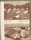 Delcampe - Régionalisme, Terres Françaises Par E. AUBERT DE LA RÜE, 116 Photographies , 1950 ,96 Pages , 12 Scans , Frais Fr 4.95 E - Outre-Mer