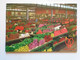 D174979    Nord Holland  -AALSMEER  World Flower Centre  Lot Of 3 Postcards - Aalsmeer