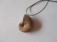 NOEL.CADEAU  ORIGINAL.AMMONITE  FOSSILE MONTEE EN PENDENTIF.LONGUEUR DU CORDON REGLABLE.ORIGINE MAINE ET LOIRE. - Fossilien