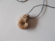 NOEL.CADEAU  ORIGINAL.AMMONITE  FOSSILE MONTEE EN PENDENTIF.LONGUEUR DU CORDON REGLABLE.ORIGINE MAINE ET LOIRE. - Fossiles