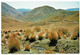 Neuseeland, The Lindis Pass - Neuseeland