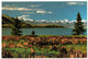 Neuseeland, Summer, Lake Tekapo - Nouvelle-Zélande