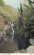 Postcard Furnace Falls Nr Machynlleth My Ref B14169 - Cardiganshire