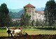 ►◄   PAYS BASQUE   Attelage Bovin  Cattle Hitch - Attelages