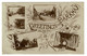 Ref 1415 - 1921 Multiview Postcard - Barkway Near Royston - Hertfordshire - Hertfordshire