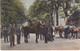 Purmerend Paardenmarkt K1242 - Purmerend