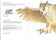 Sweden 1989 Folder Eagle Owl - Autres & Non Classés