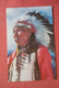 - New York > Adirondack  Indian Chief    Ref 4452 - Adirondack