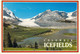 Jasper - Parc National De Jasper - Champ De Glace Columbia - Jasper