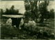 BISCEGLIE - DOLMEN - EDIZIONE DI PINTO - SPEDITA 1961 (6572) - Bisceglie