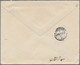 Thematik: Nahrung-Salz / Food-salt: 1912, German Reich. Private Envelope 10p Germania "Kruse & Bleic - Alimentazione