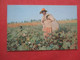 Black Americana   Cotton Picking Time Southern Georgia       Ref 4455 - Black Americana