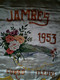 Etendard / Banière 1953 JAMBES ( Corso Fleuri ) En Soie Peinte Main.( Fleurs ,pont De Jambes / Namur ) 55 X 70cm Superbe - Carnaval