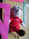 Cuddly Toys, Peluches COCA COLA - Cuddly Toys