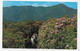 (RECTO / VERSO) RHODODENDRON IN BLOOM ALONG THE ALUM CAVE TRAIL - BEAU TIMBRE - FORMAT CPA - Smokey Mountains