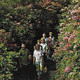 (RECTO / VERSO) RHODODENDRON IN BLOOM ALONG THE ALUM CAVE TRAIL - BEAU TIMBRE - FORMAT CPA - Smokey Mountains